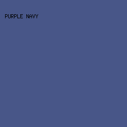 485688 - Purple Navy color image preview