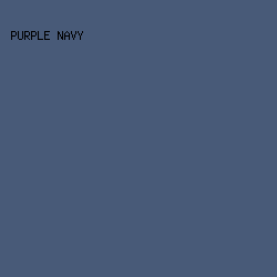 485A78 - Purple Navy color image preview