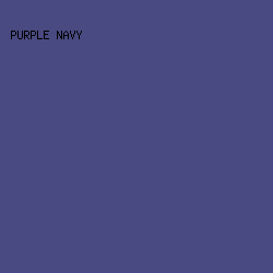 494a81 - Purple Navy color image preview