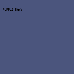 4B557D - Purple Navy color image preview