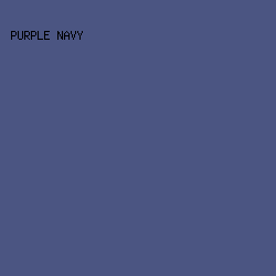 4B5582 - Purple Navy color image preview