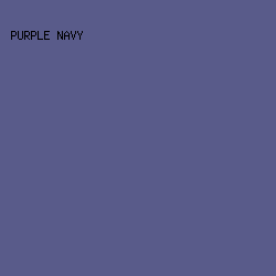 595B8A - Purple Navy color image preview
