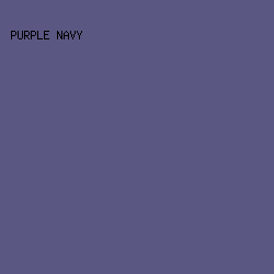 5A5882 - Purple Navy color image preview