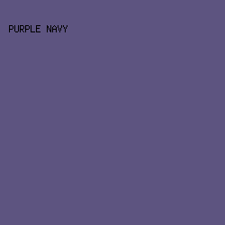 5D5480 - Purple Navy color image preview