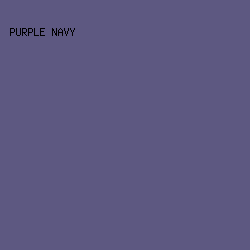 5D5881 - Purple Navy color image preview