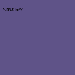 5F5388 - Purple Navy color image preview