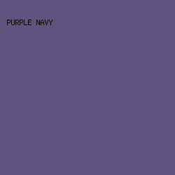 5F5480 - Purple Navy color image preview