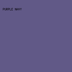 615987 - Purple Navy color image preview