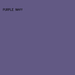 625A84 - Purple Navy color image preview
