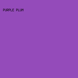 944bba - Purple Plum color image preview