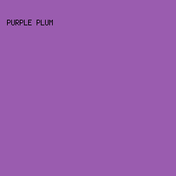 9A5CAF - Purple Plum color image preview