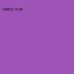 9E53B6 - Purple Plum color image preview