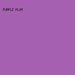 A560B2 - Purple Plum color image preview