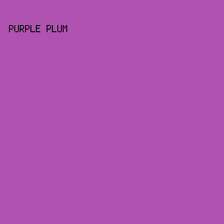 B053B0 - Purple Plum color image preview