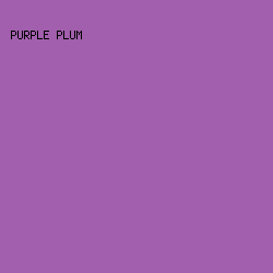 a25fad - Purple Plum color image preview
