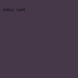 463848 - Purple Taupe color image preview