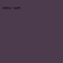 4C3B4D - Purple Taupe color image preview