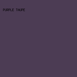 4C3C54 - Purple Taupe color image preview
