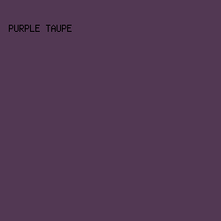 523853 - Purple Taupe color image preview