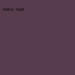 573c4e - Purple Taupe color image preview