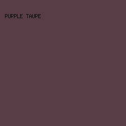 593D46 - Purple Taupe color image preview