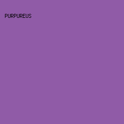 905BA7 - Purpureus color image preview