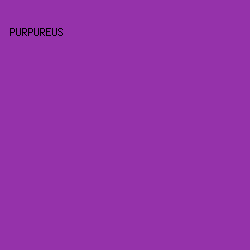 9532AA - Purpureus color image preview