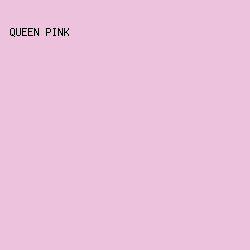 ECC2DD - Queen Pink color image preview