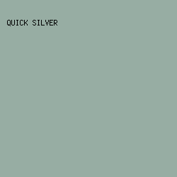 97ADA3 - Quick Silver color image preview