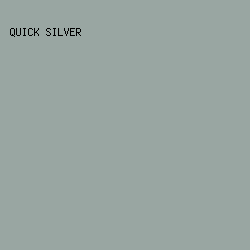 99A6A2 - Quick Silver color image preview