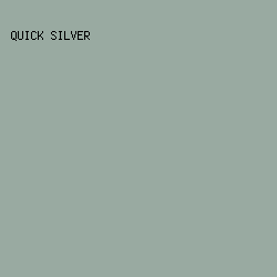 99AAA1 - Quick Silver color image preview