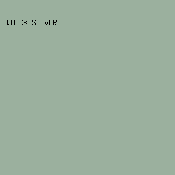9BB09E - Quick Silver color image preview