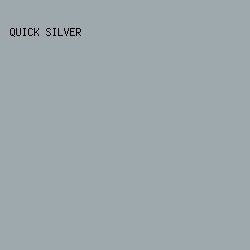 9DA9AD - Quick Silver color image preview