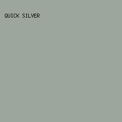 9ca69c - Quick Silver color image preview