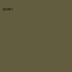 635d40 - Quincy color image preview