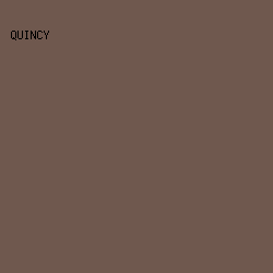 6F584E - Quincy color image preview