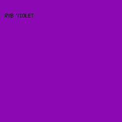 8B09B5 - RYB Violet color image preview
