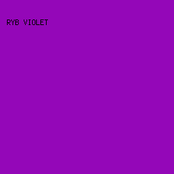 9407B8 - RYB Violet color image preview