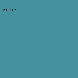45919d - Rackley color image preview