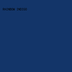 133569 - Rainbow Indigo color image preview