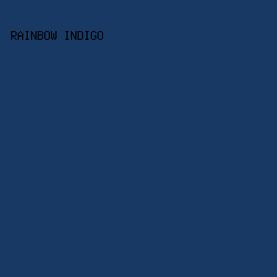173963 - Rainbow Indigo color image preview