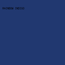 213870 - Rainbow Indigo color image preview