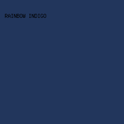 22365C - Rainbow Indigo color image preview