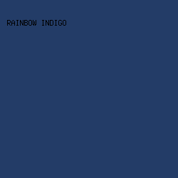 233C67 - Rainbow Indigo color image preview