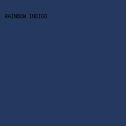 24395E - Rainbow Indigo color image preview