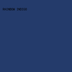 243b6b - Rainbow Indigo color image preview