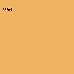 EEB462 - Rajah color image preview
