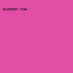 E04EA6 - Raspberry Pink color image preview