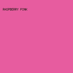 E65C9E - Raspberry Pink color image preview