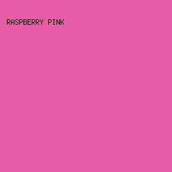E85DA7 - Raspberry Pink color image preview